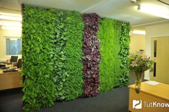 Живая стена в интерьере квартиры своими руками: фито стена из искусственных растений в кухне, картина из цветов в гостиной или звукопоглощающее полотно из мха в зале
