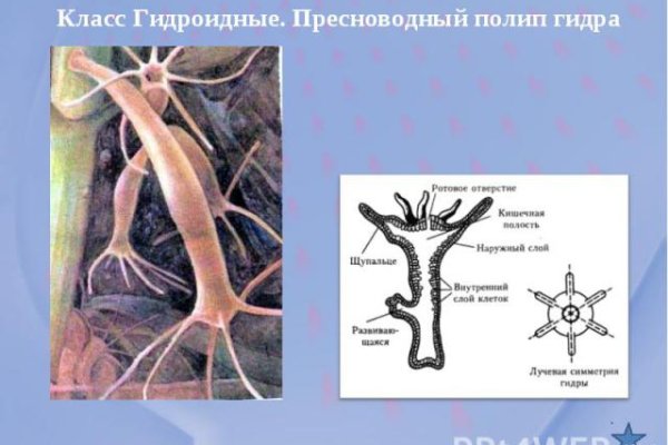 Как отличить оригинальный сайт кракена